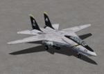 Views 2.0 for Dino Cattaneo Grumman F-14D Tomcat